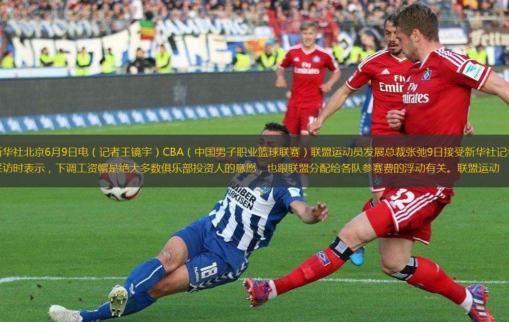 高的榮譽