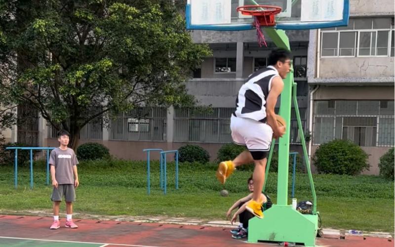 个体育界都