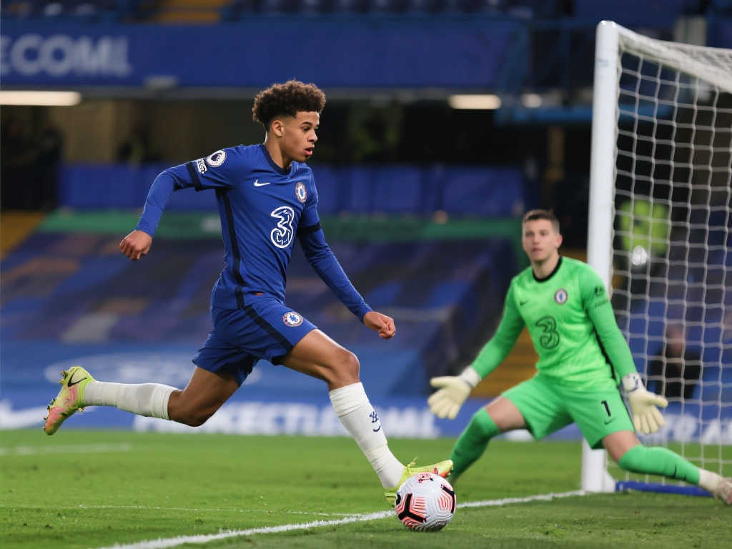 他看到了加 他看到了加