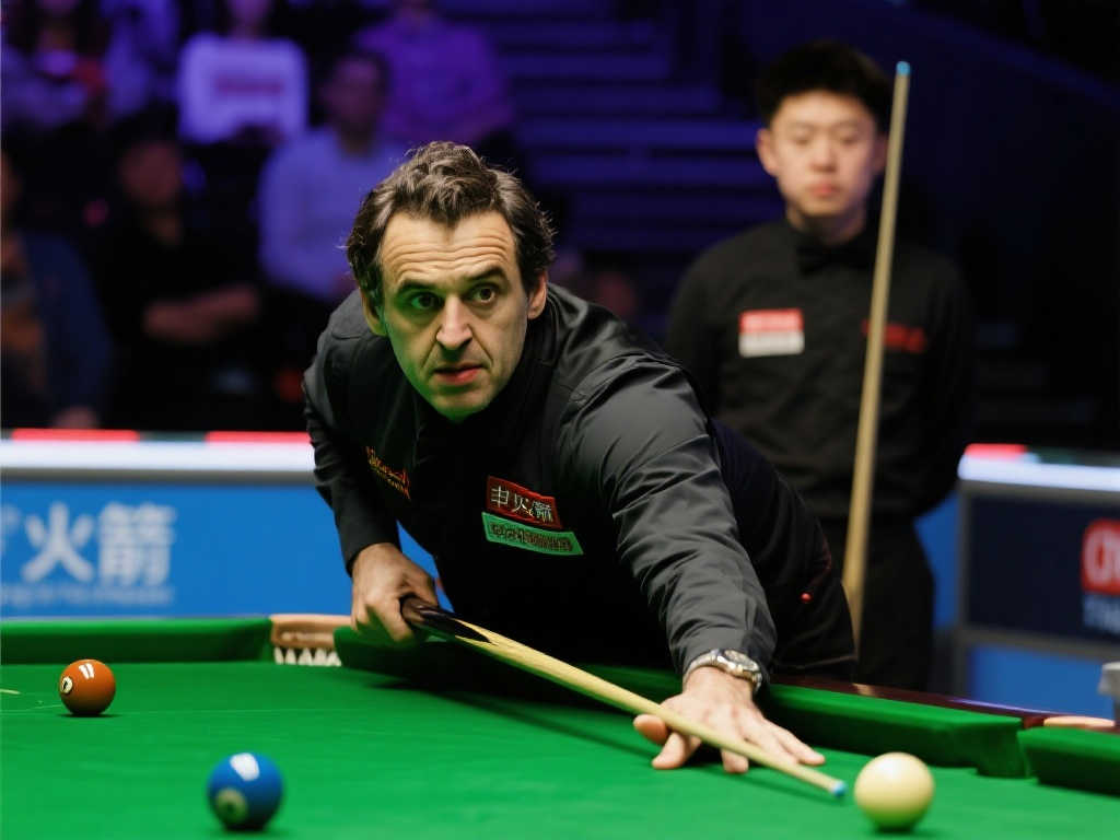 们占据的比 们占据的比